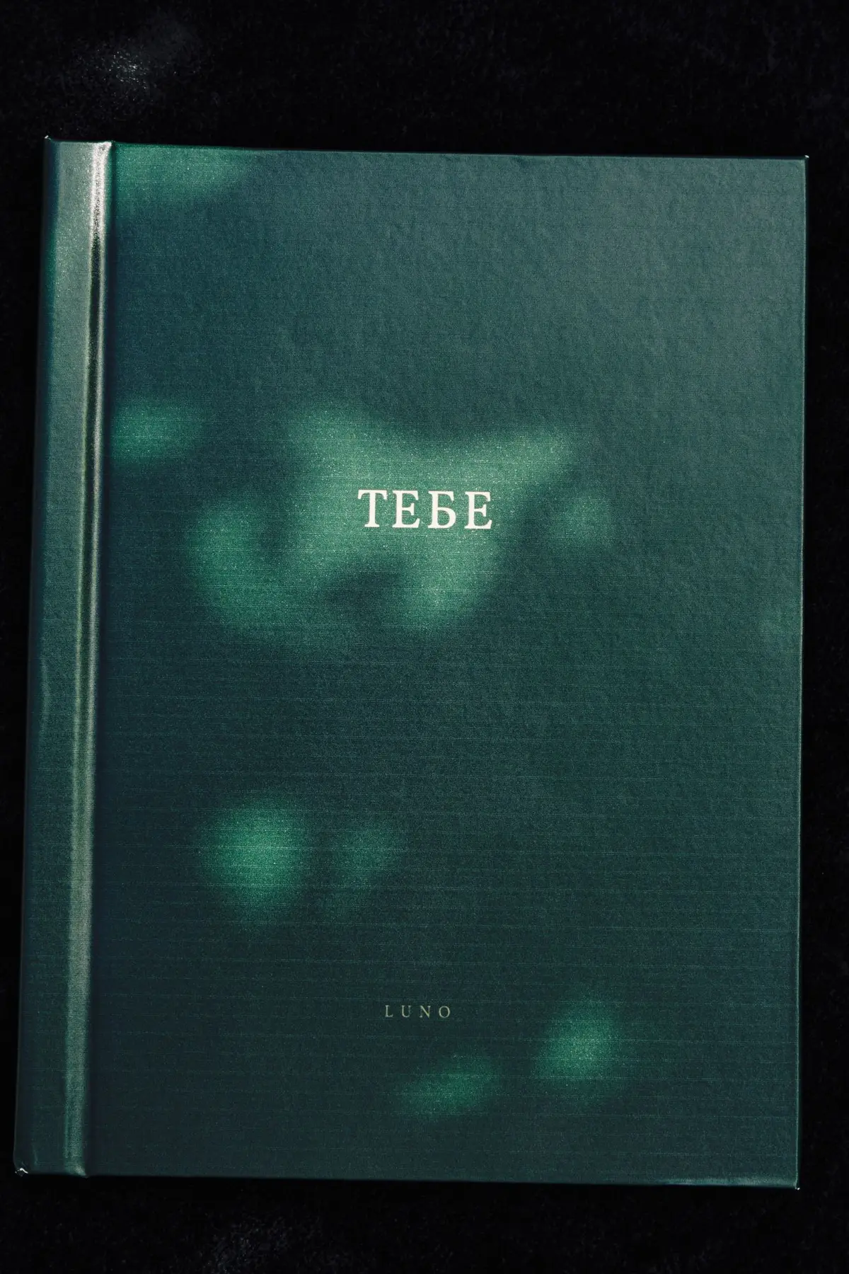 Книга «Тебе» в зелёном переплёте